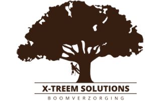 bomen-antwerpen-xtreem